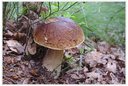 DSCF5157dt.jpg