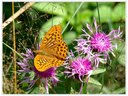 EM5B3496dt.jpg