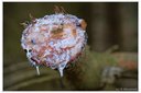 XT2B9774dt.jpg