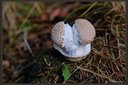 XT2B9900dt.jpg
