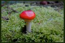 XT2B9928dt.jpg