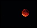 XT2D1383dt.jpg
