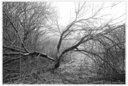 DSCF4568dt.jpg