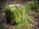 PL5B9839dt.jpg