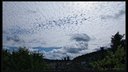 Altocumulus translucidus