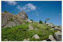 Auf dem Wirbelstein (CZ)