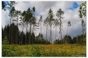 XT2B9314dt.jpg