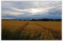 XT2B9328dt.jpg