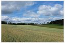 DSCF4869dt.jpg