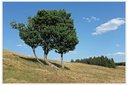 Auf Sommertour