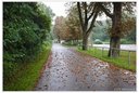 DSCF5274dt.jpg