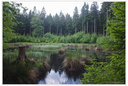 Erzgeb. Moorlandschaft