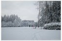 P1060797dt.jpg