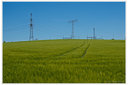 Frühling