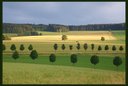 Lichtstimmungen