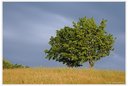 Lichtstimmungen