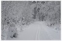 XT2D1116dt.jpg