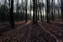 Lange Schatten