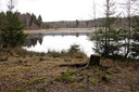 Schwarzer Teich