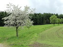 DSCF1128dt.jpg