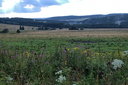 DSCF2255dt.jpg