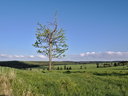 Kammlandschaft bei Satzung