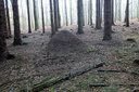 DSCF2761dt.jpg